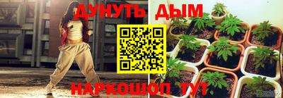 сатива Заводоуковск