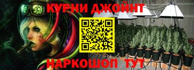 сатива Заводоуковск