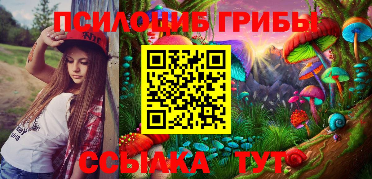 Глазов  Псилоцибиновые грибы Magic Shrooms  Вход с VPN  закладки  Псилоцибиновые грибы прущие грибы 